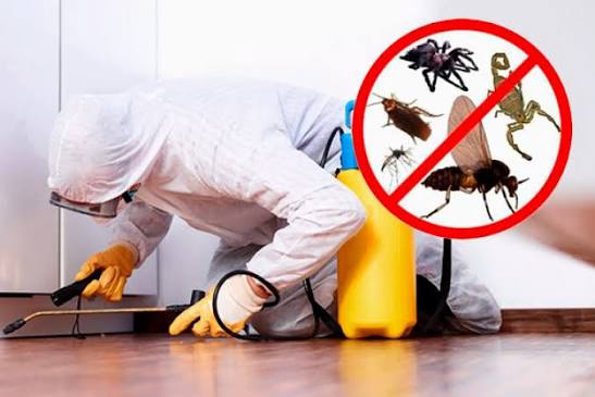 Control de plagas e inspección sanitaria